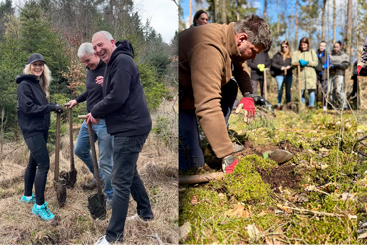 Drei Bilder zeigen Mitarbeitenden der Sparda-Bank Nürnberg beim Pflanzen von Bäumen
