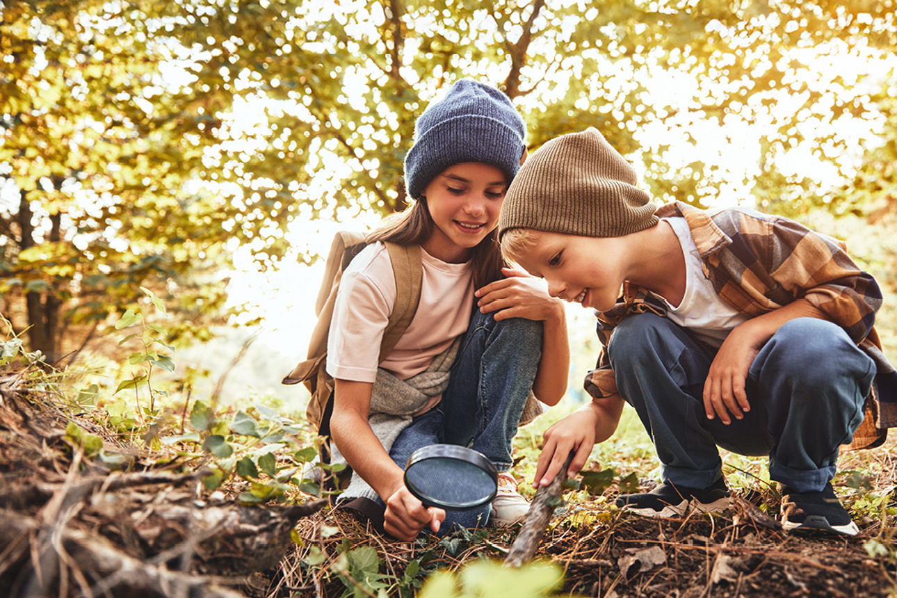 Zwei Kinder untersuchen den Waldboden