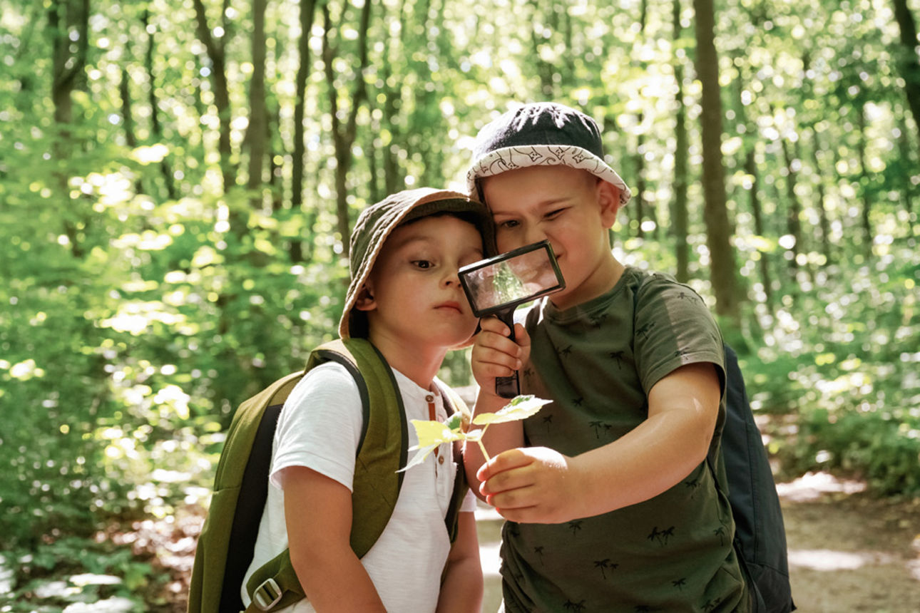 Zwei Kinder erforschen mit einer Lupe eine Pflanze