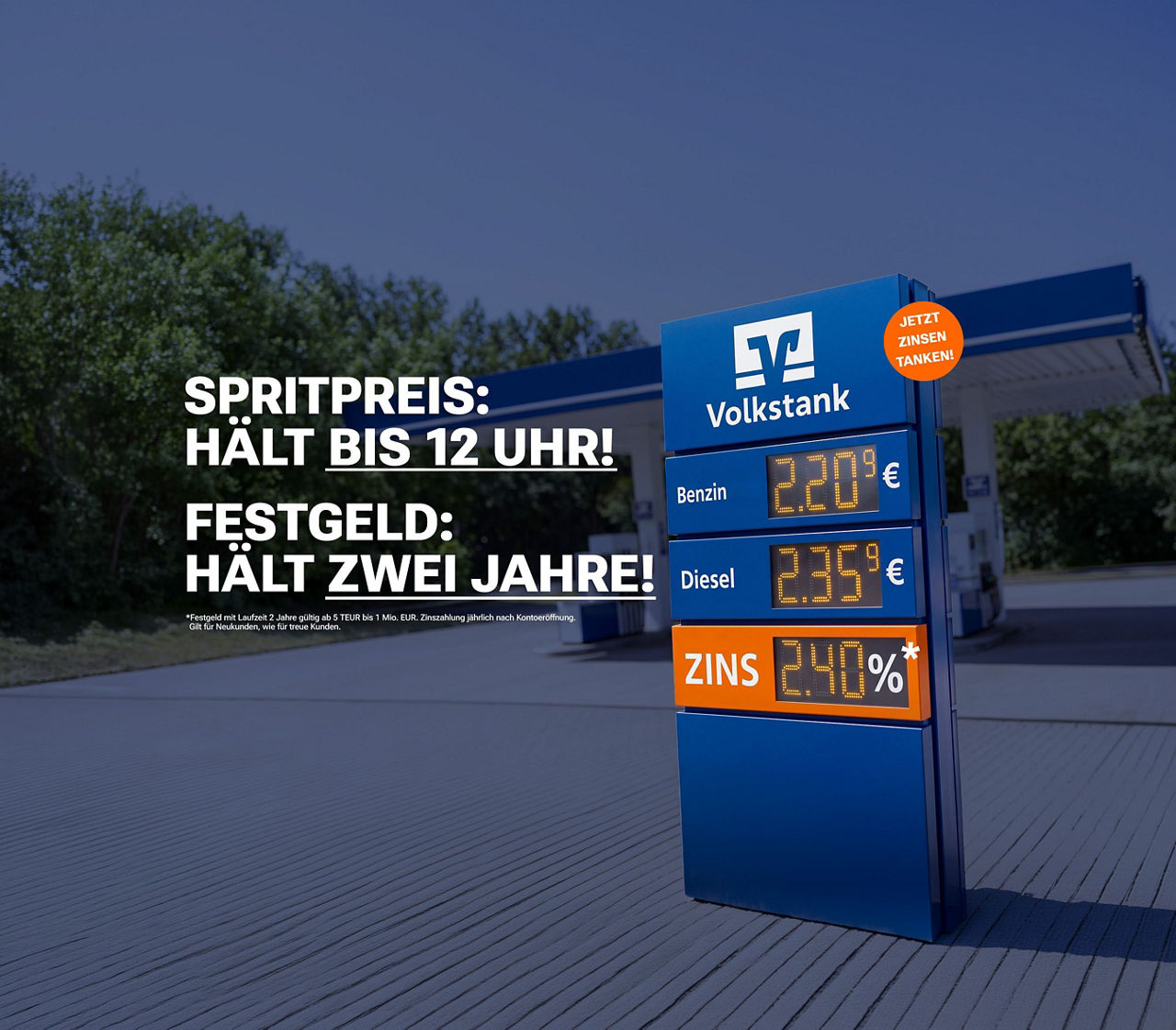 Unser Zinshammer zum Frühling