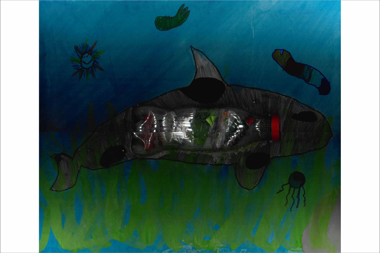 „Der Flaschen Orca“