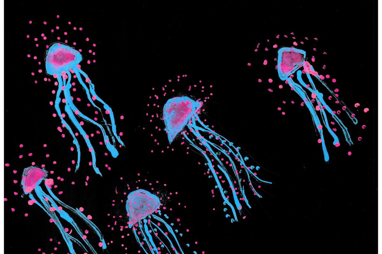 Zeichnung Biolumineszenz