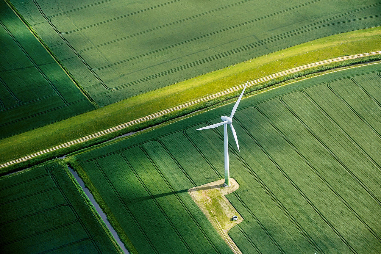 Windrad auf einem Feld