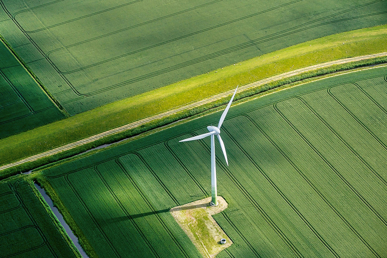 Windrad auf einem Feld
