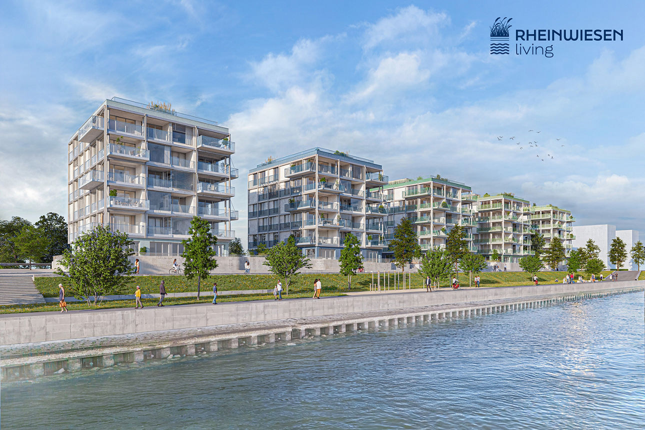 Visualisierung des Bauprojektes Rheinwiesen living 