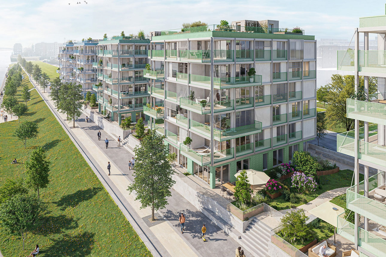 Visualisierung des Bauprojektes Rheinwiesen living 