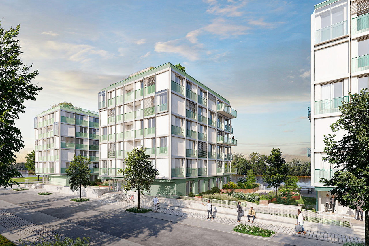 Visualisierung des Bauprojektes Rheinwiesen living 