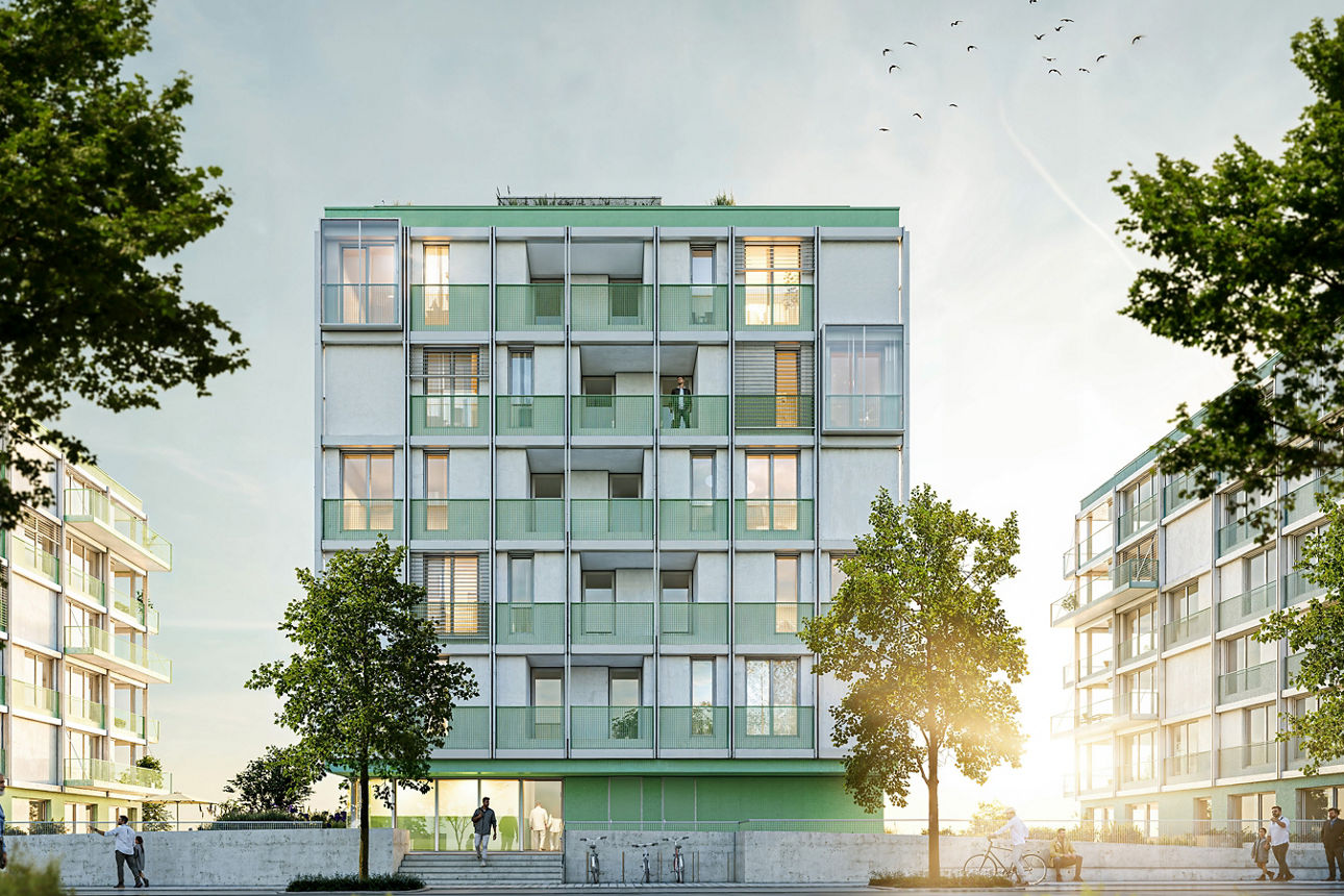 Visualisierung des Bauprojektes Rheinwiesen living 