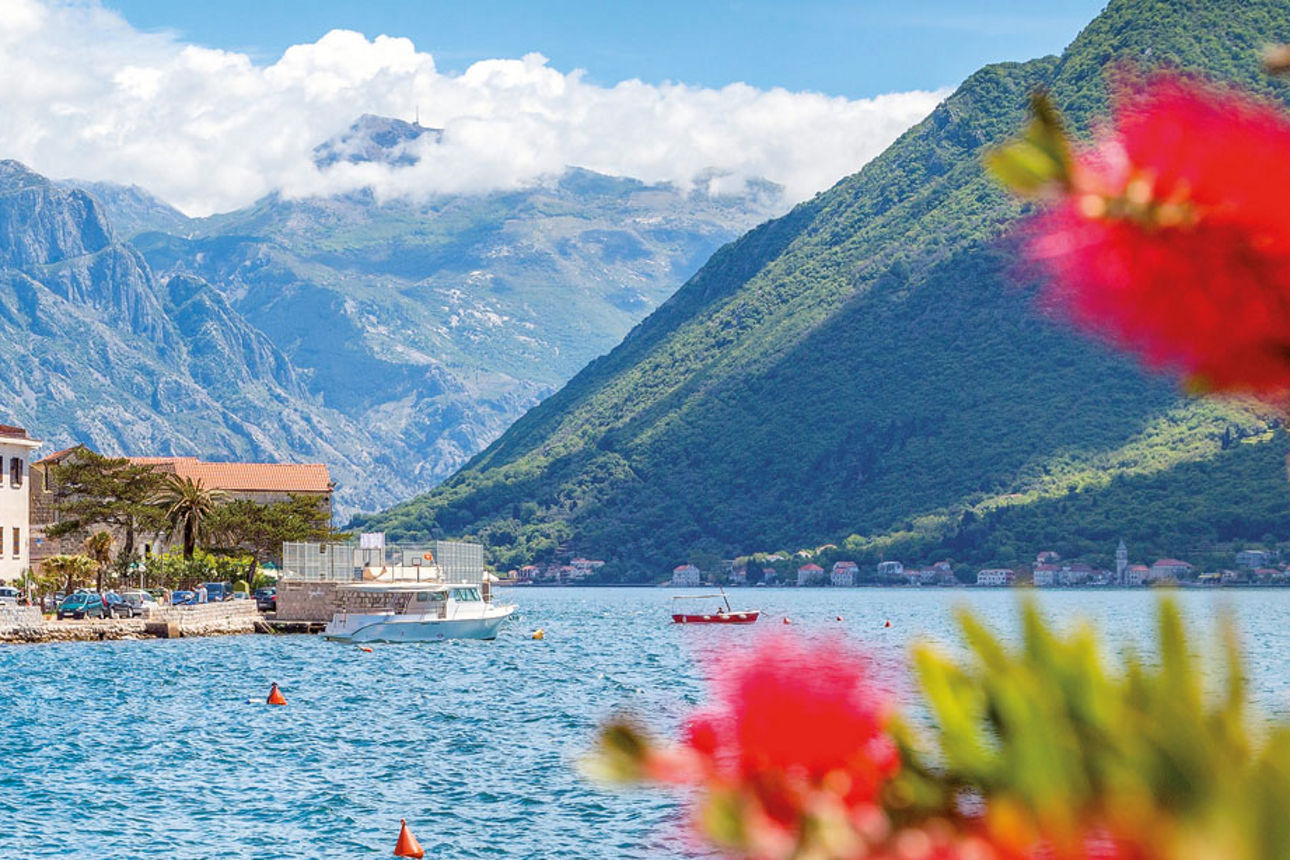 Historische Altstadt von Kotor an der Adria: Mittelalterliche Architektur und Glockenturm vor schroffer Berglandschaft.