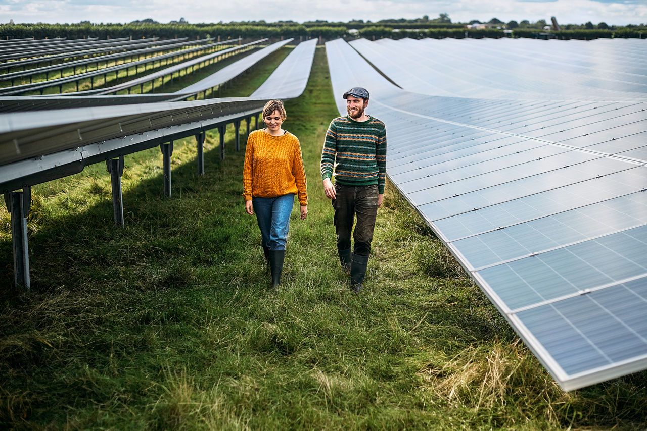 Solarpanels, Windräder auf einem Feld und Hände, die eine Erde über Wasser halten – Symbole für erneuerbare Energien.