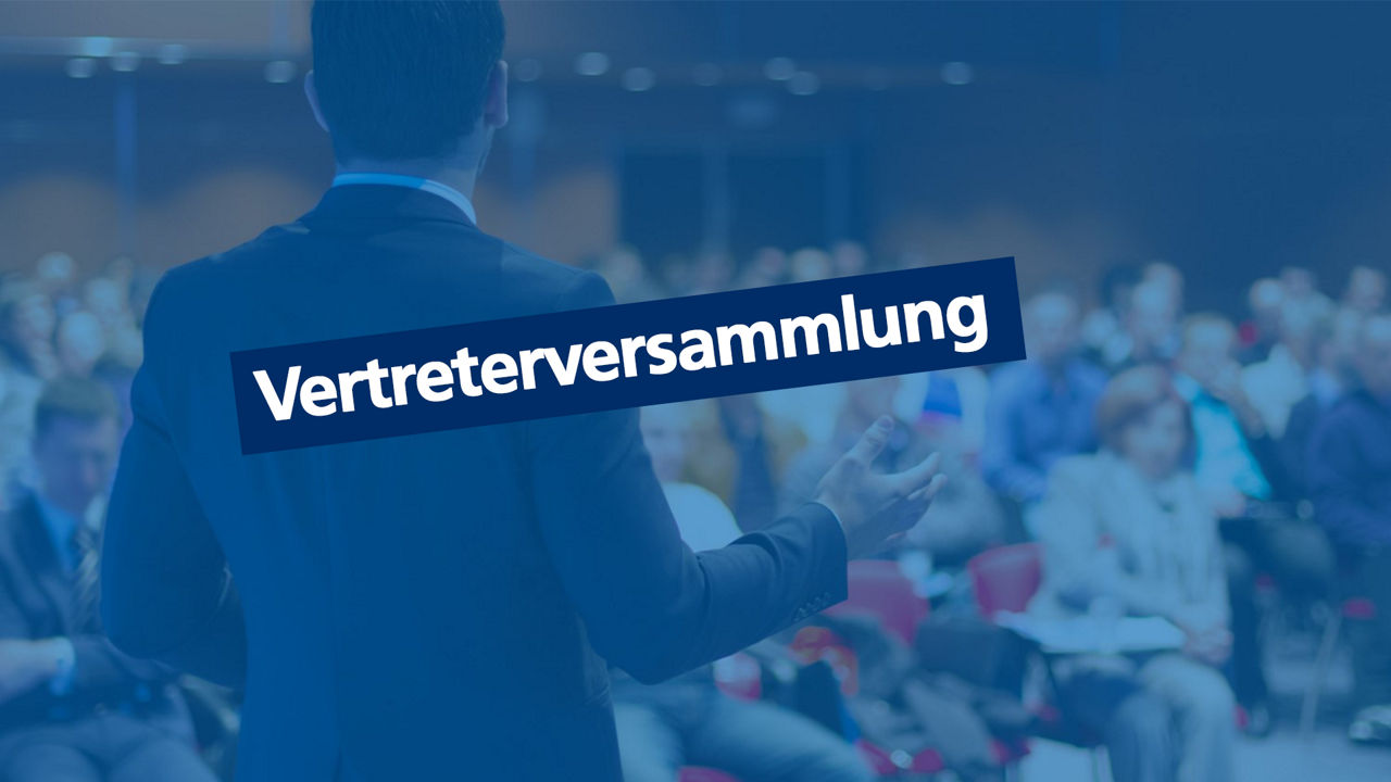 Vertreterwahl