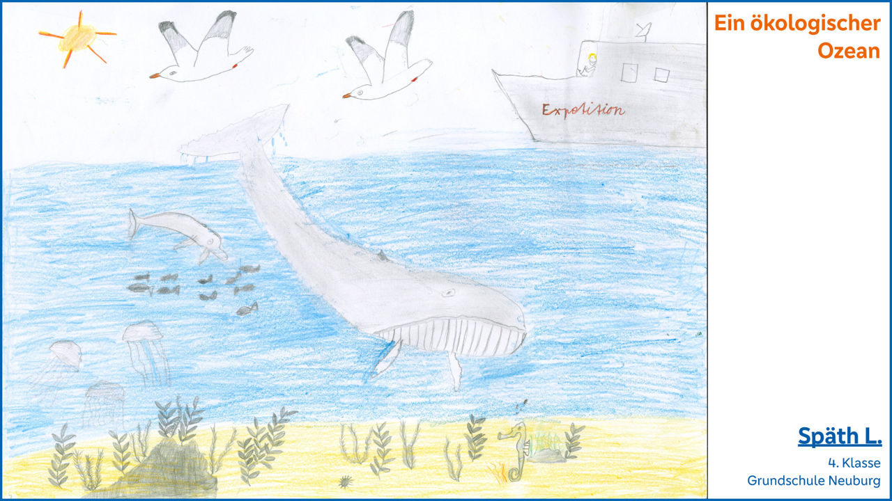 Ein ökologischer Ozean