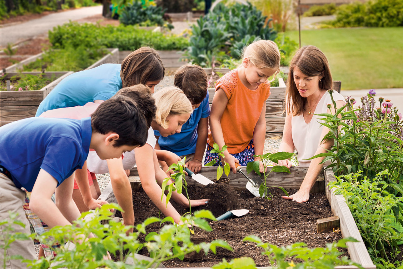 Lehrerin und Kinder bearbeiten ein Hochbeet im Schulgarten