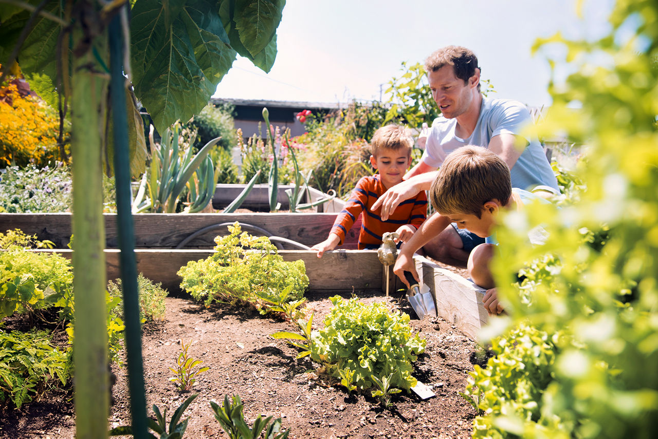 Ein Mann und Zwei Kinder stehen an einem Hochbeet