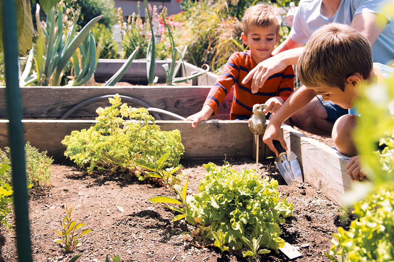 Ein Mann und Zwei Kinder stehen an einem Hochbeet