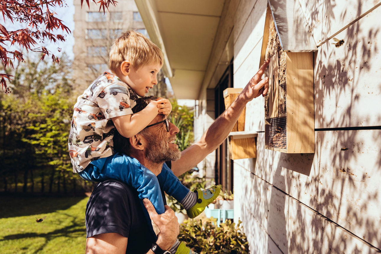 Vater mit Sohn auf den Schultern steht vor Insektenhotel.