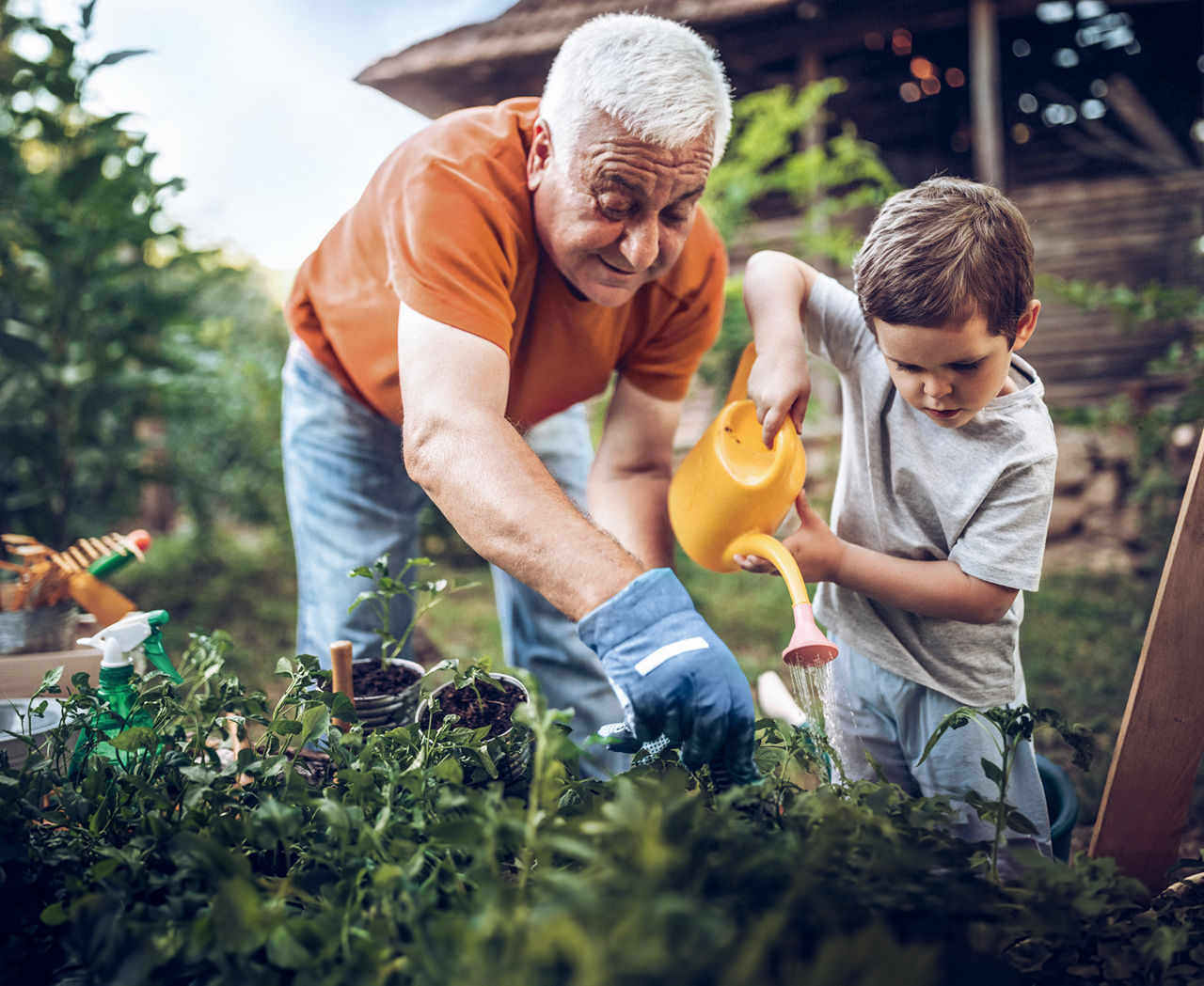 Großvater und Kind gießen im Garten