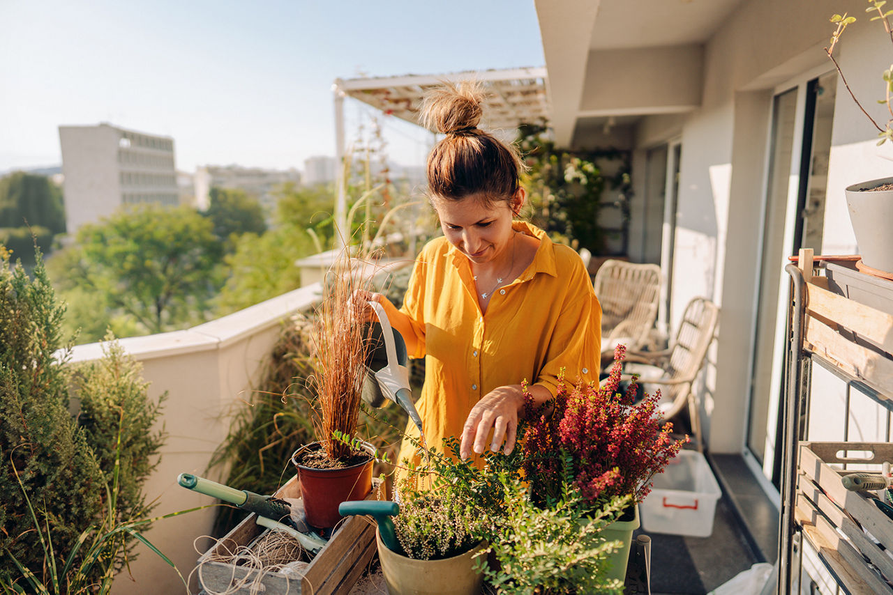 Person pflegt Pflanzen auf sonnigem Balkon mit Blick auf Stadt