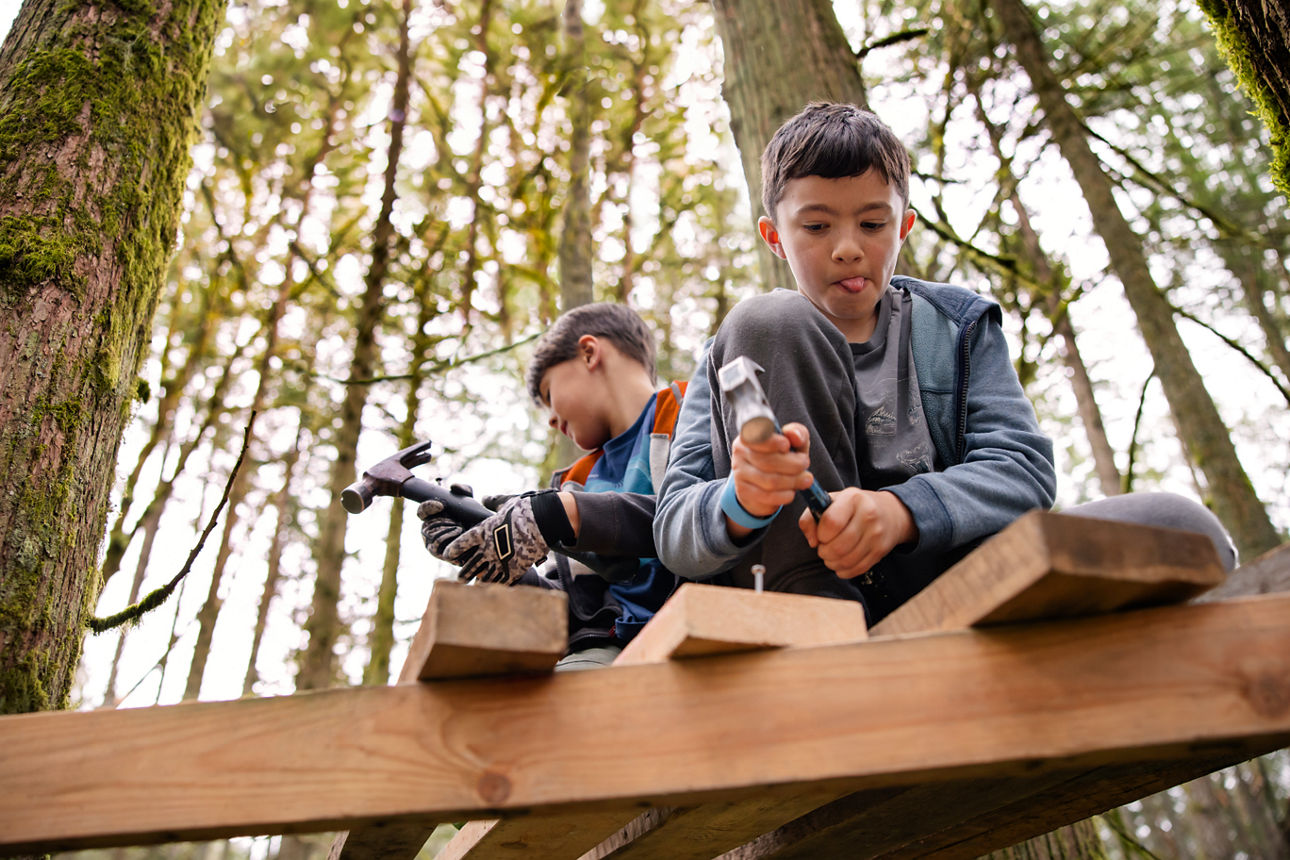 Kinder bauen ein Baumhaus im Wald