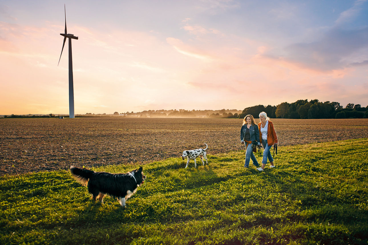 Spaziergänger mit Hunden auf einem Feld. Im Hintergrund steht ein Windrad und die Sonne geht unter. 