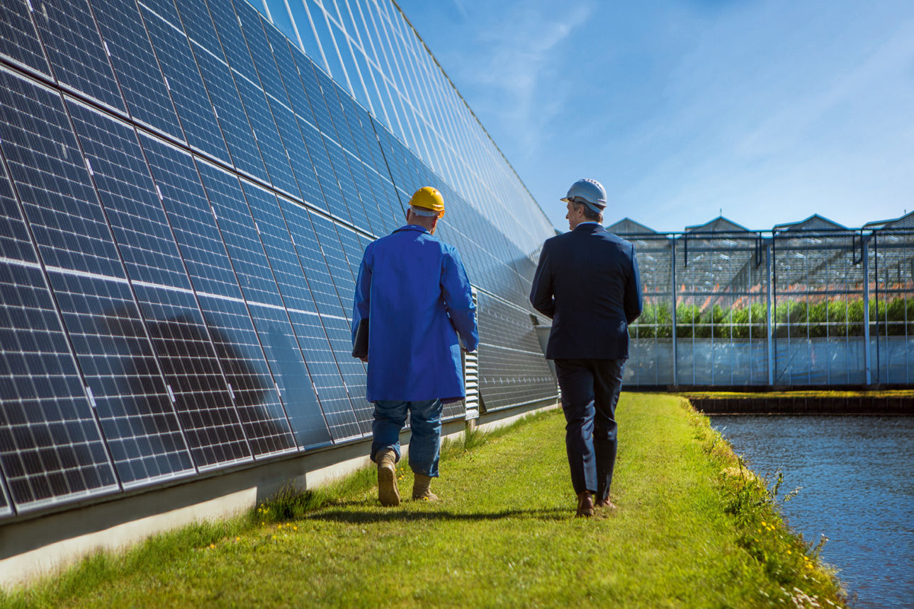 Zwei Männer gehen an einer Anlage mit Solarpanels entlang.