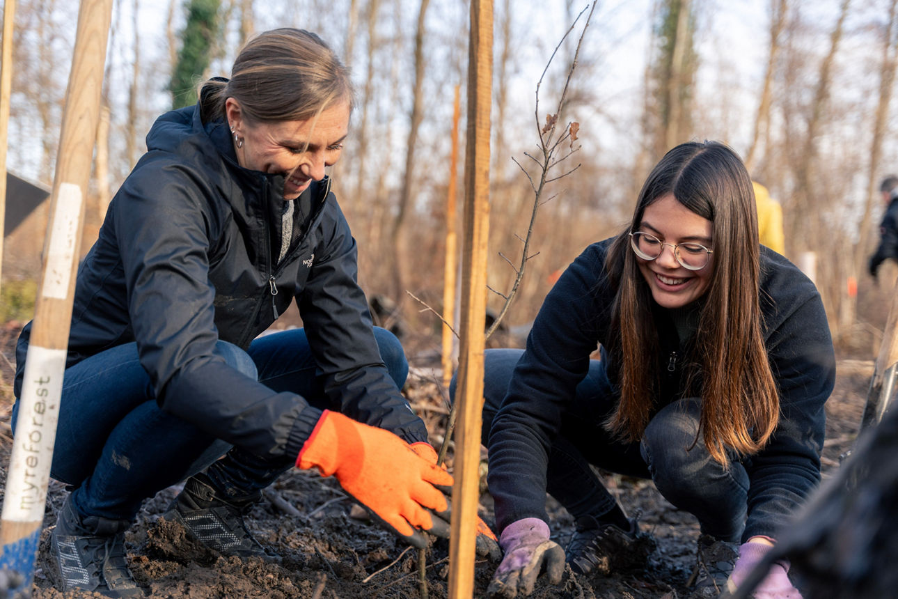 Zwei Personen pflanzen junge Bäume auf einer Waldfläche im Rahmen einer Aufforstungsaktion.