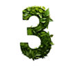 Grüne 3 aus Blättern