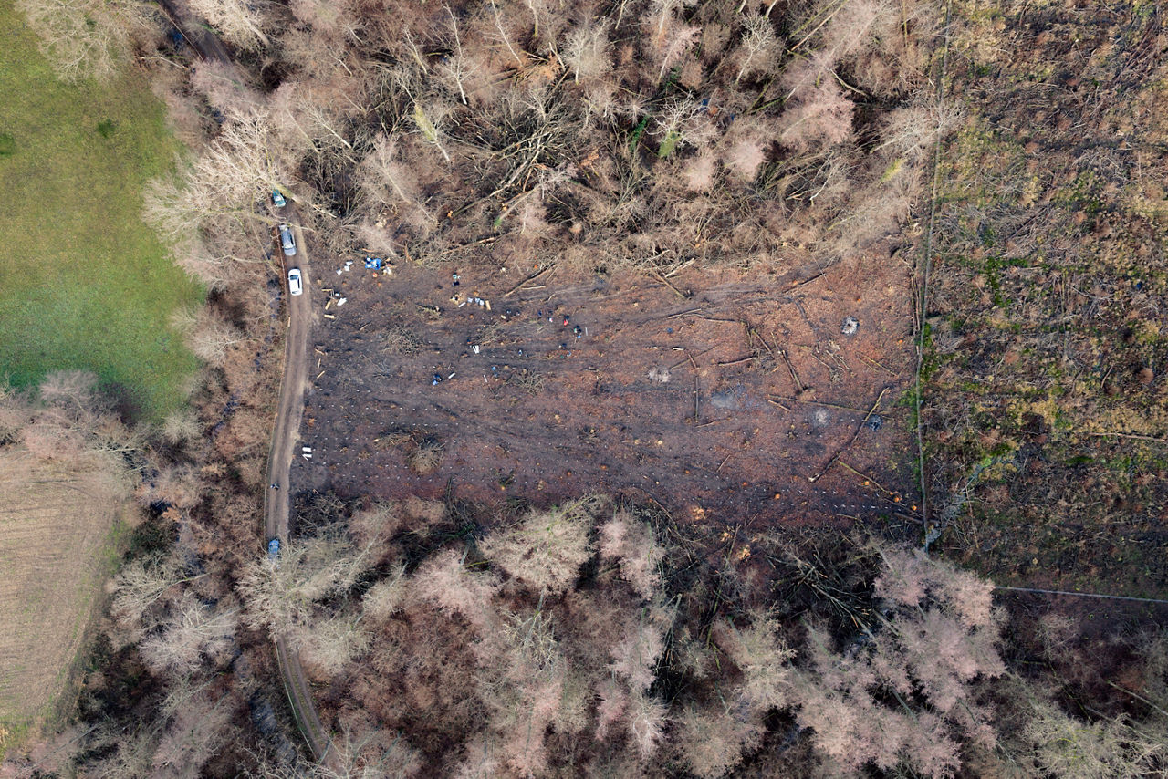 Luftaufnahme eines Waldstücks mit gerodeter Fläche, auf der junge Bäume gepflanzt werden.