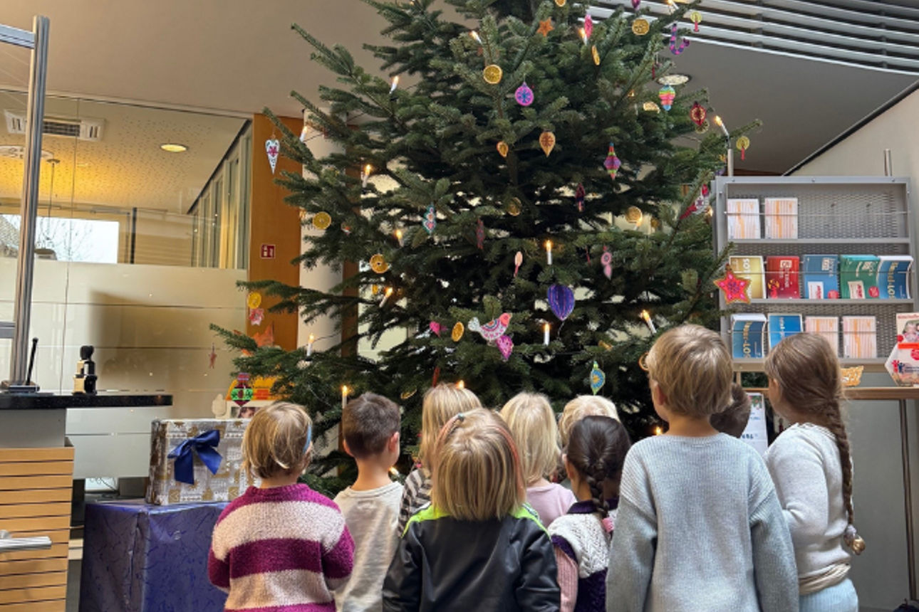 Weihnachtsbaumaktion