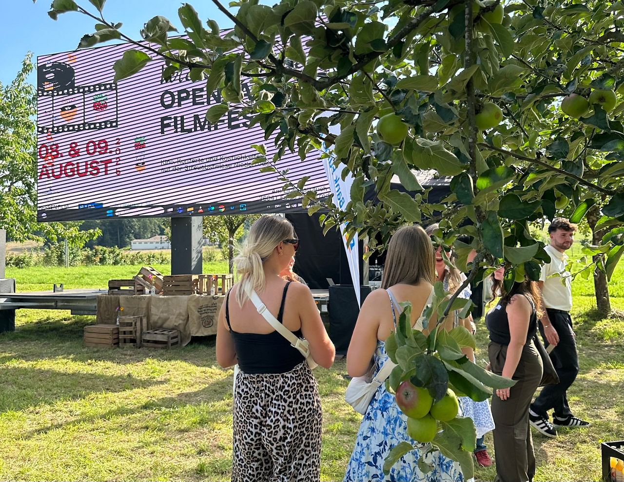 Junge Menschen auf der Wiese im Vordergrund steht ein Baum