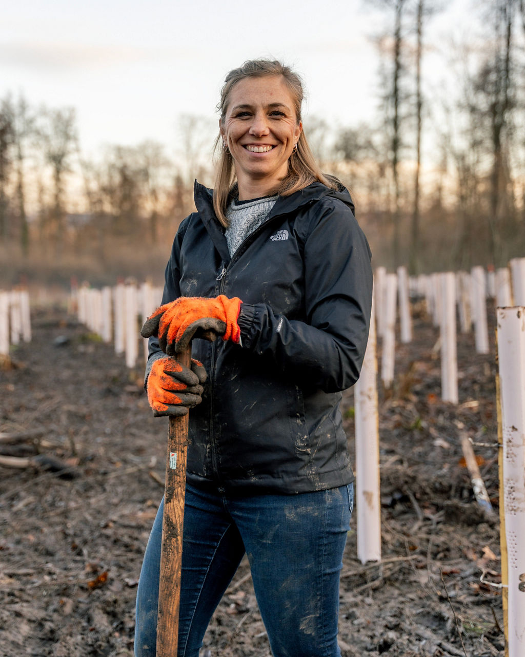 Person mit Arbeitshandschuhen lehnt auf einem Spaten zwischen frisch gepflanzten Setzlingen.