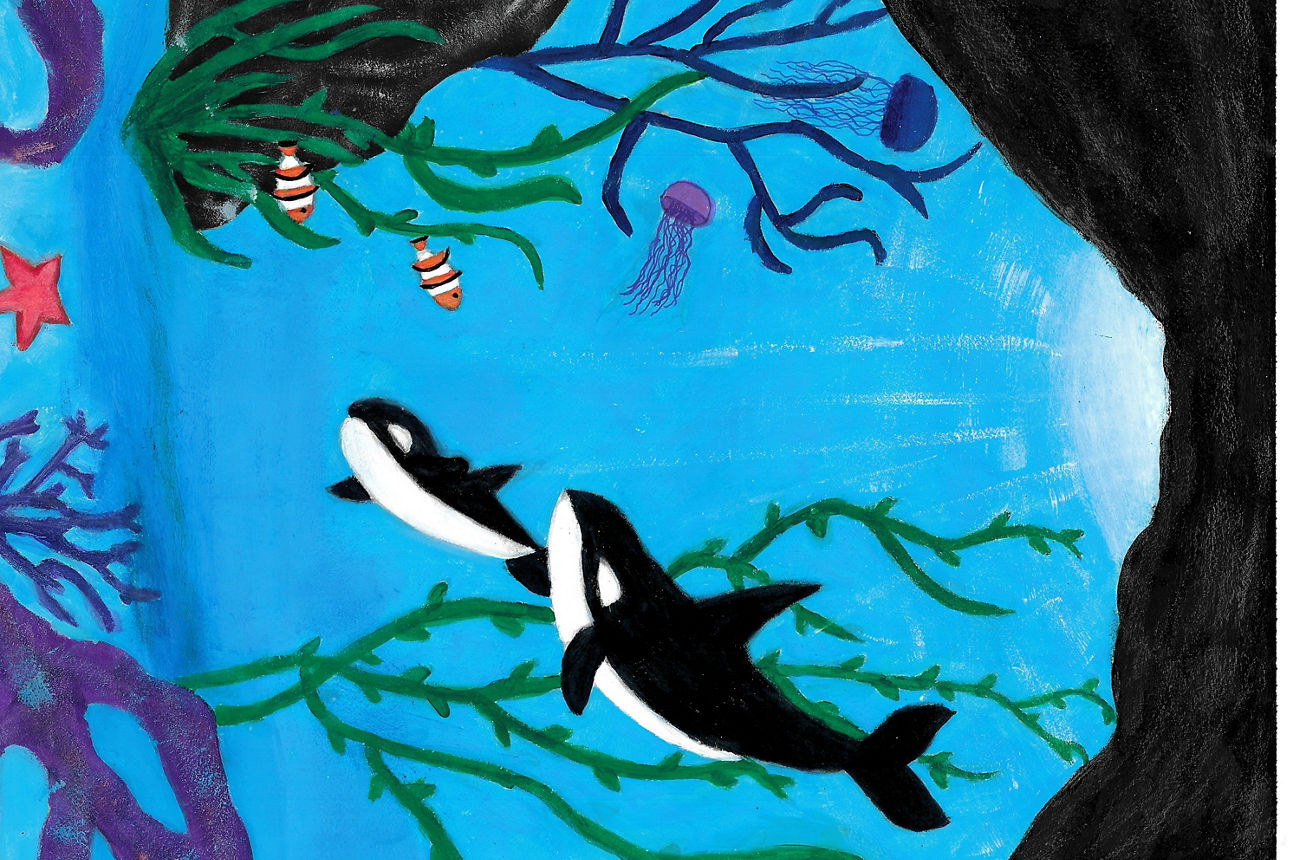 „Das Leben im Meer“