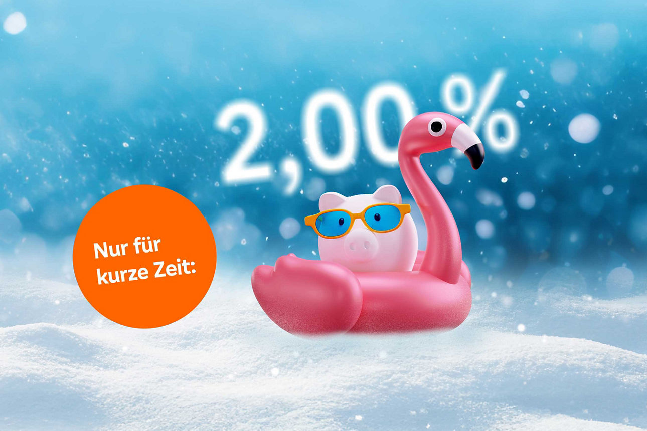 Schriftzug "Nur für kurze Zeit: 2,00 %" und ein Sparschwein mit Flamingo auf schneebedeckter Fläche.