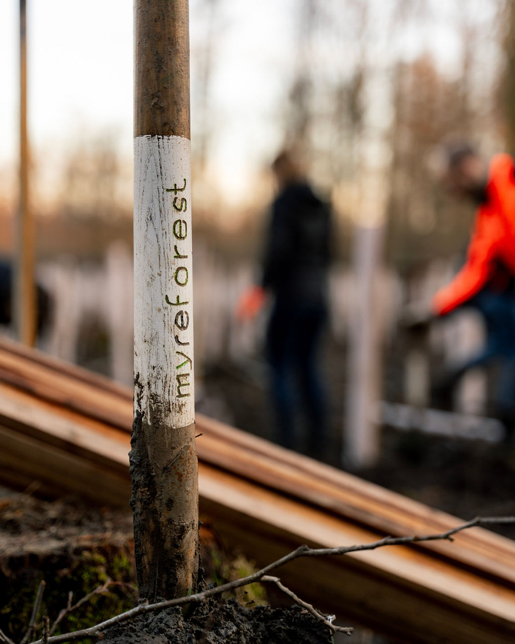 Nahaufnahme eines Holzpfahls mit der Aufschrift ‚myreforest‘ auf einer Aufforstungsfläche.