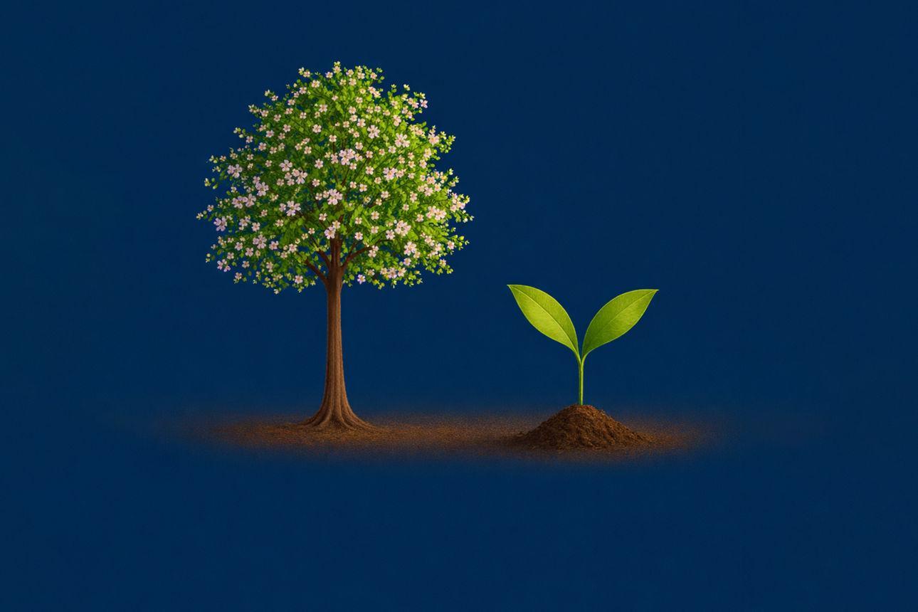 Ein orangener Baum und einer kleine Pflanze auf einem dunkelblauen Hintergrund