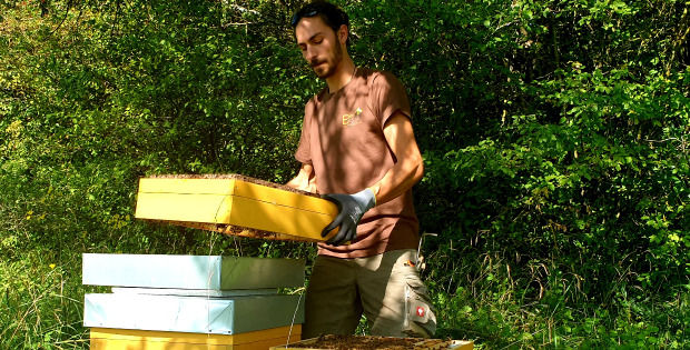Imker beim Bau eines Bienenstocks