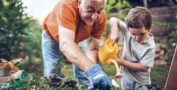 Großvater und Enkel gießen gemeinsam Blumen im Garten