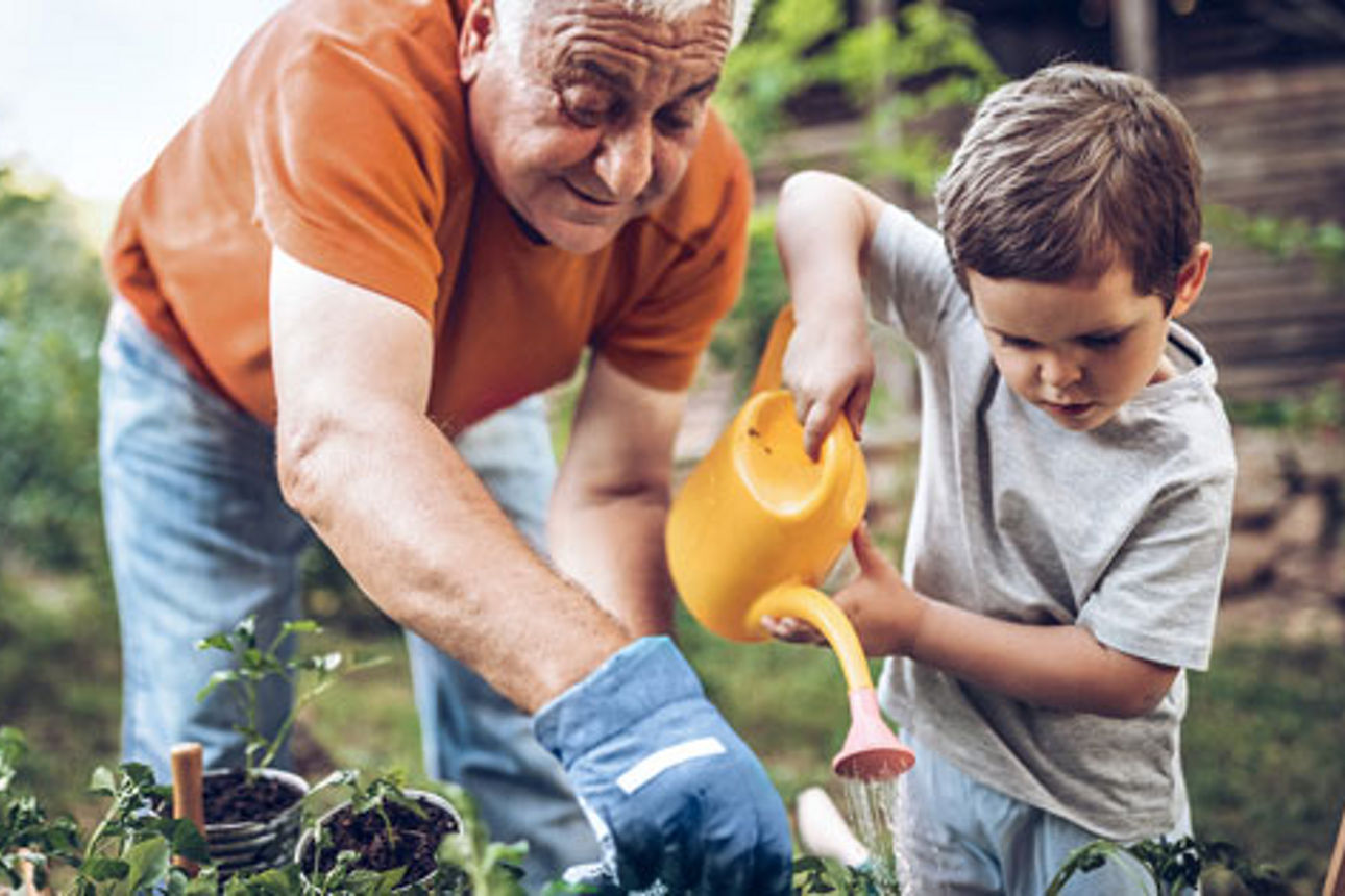 Großvater und Enkel gießen gemeinsam Blumen im Garten