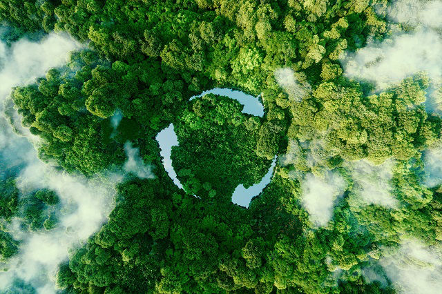 Ein Nachhaltigssymbol (Kreis) steht über einem grünen Wald