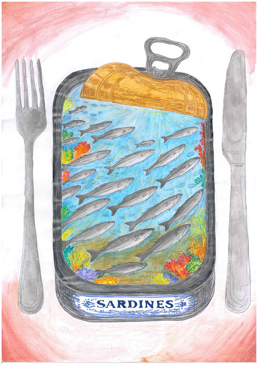 7+8 - 2. Platz Gymnasium Immenstadt - Annika L.