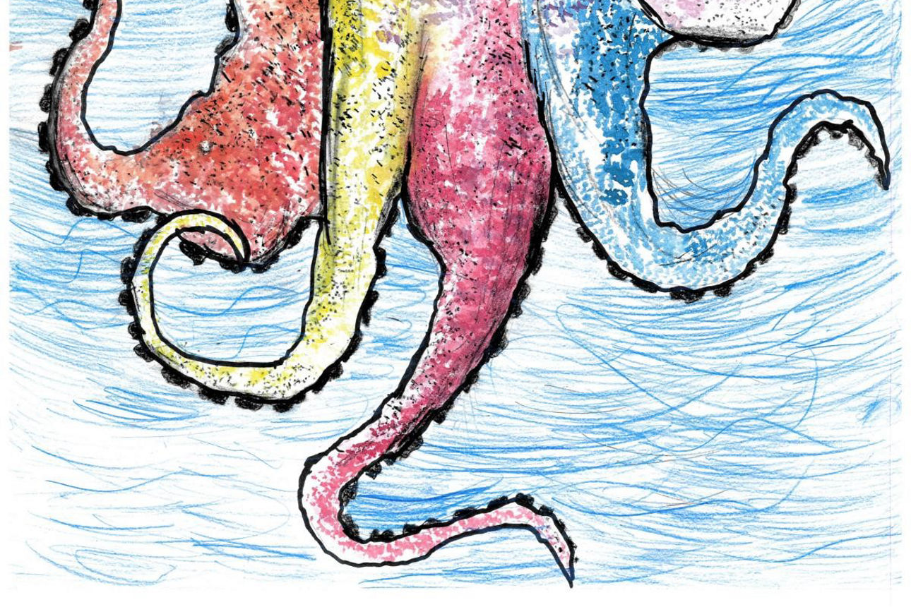 Zeichnung Octopus