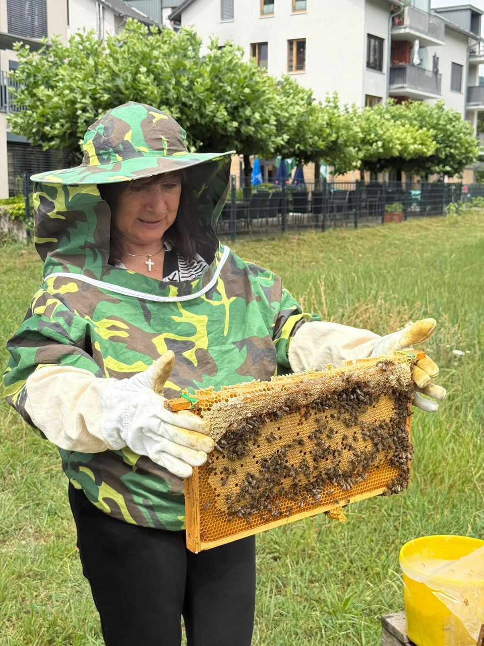 Person in Imkerschutzkleidung hält eine mit Bienen besetzte Honigwabe der Imker AG der Realschule Stühlingen.