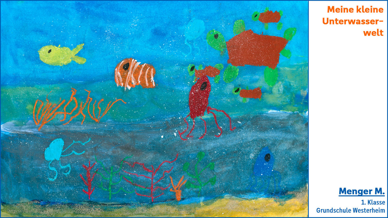 Meine kleine Unterwasserwelt