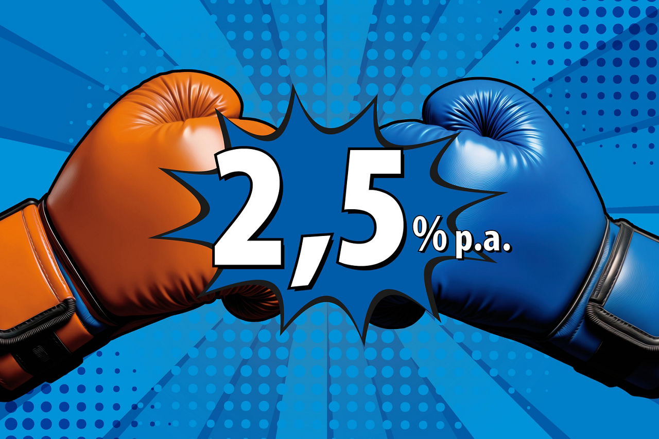 Zwei Boxhandschuhe im Comicstyle und dem Zinssatz 2,5 % p.a.