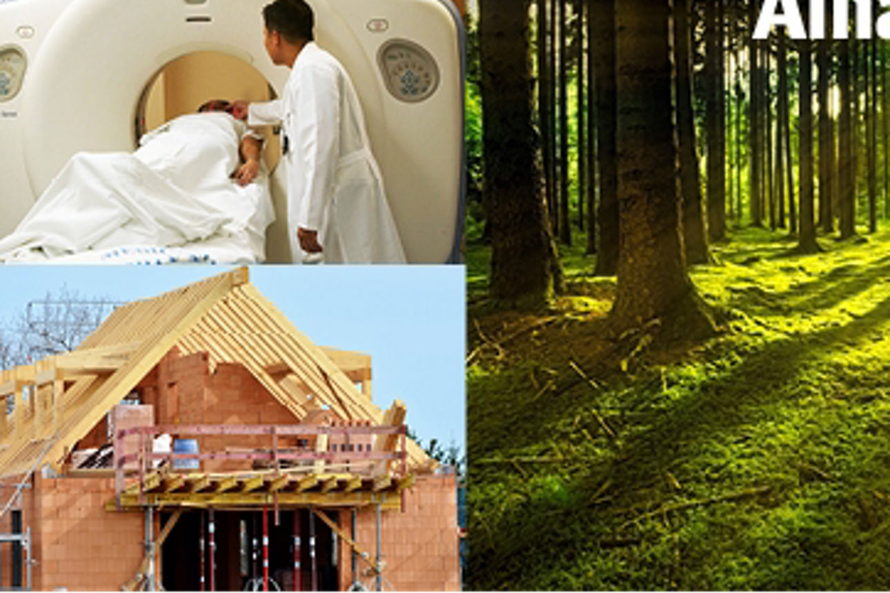 Allianz Service - Übersicht