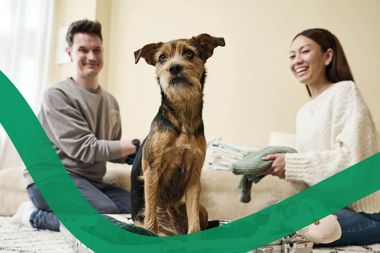 Im Wohnzimmer sitzt ein Paar auf dem Boden und packt seinen Koffer für den Sommerurlaub. Im Koffer sitzt auch ein Hund.