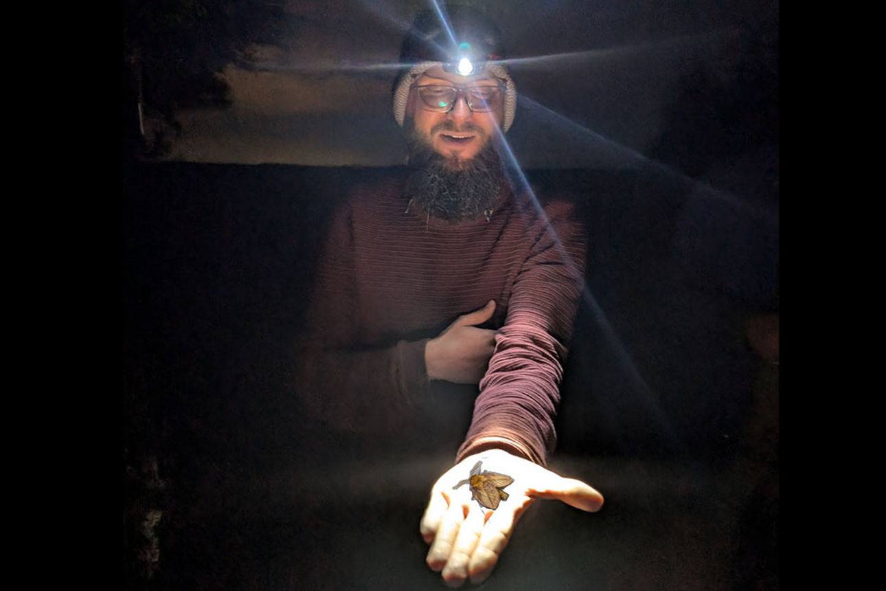 Man mit Stirnlampe hält eine Fledermaus auf der Hand