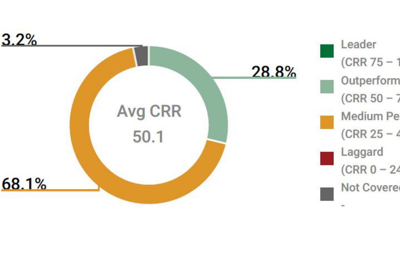 ESG Performance Score
