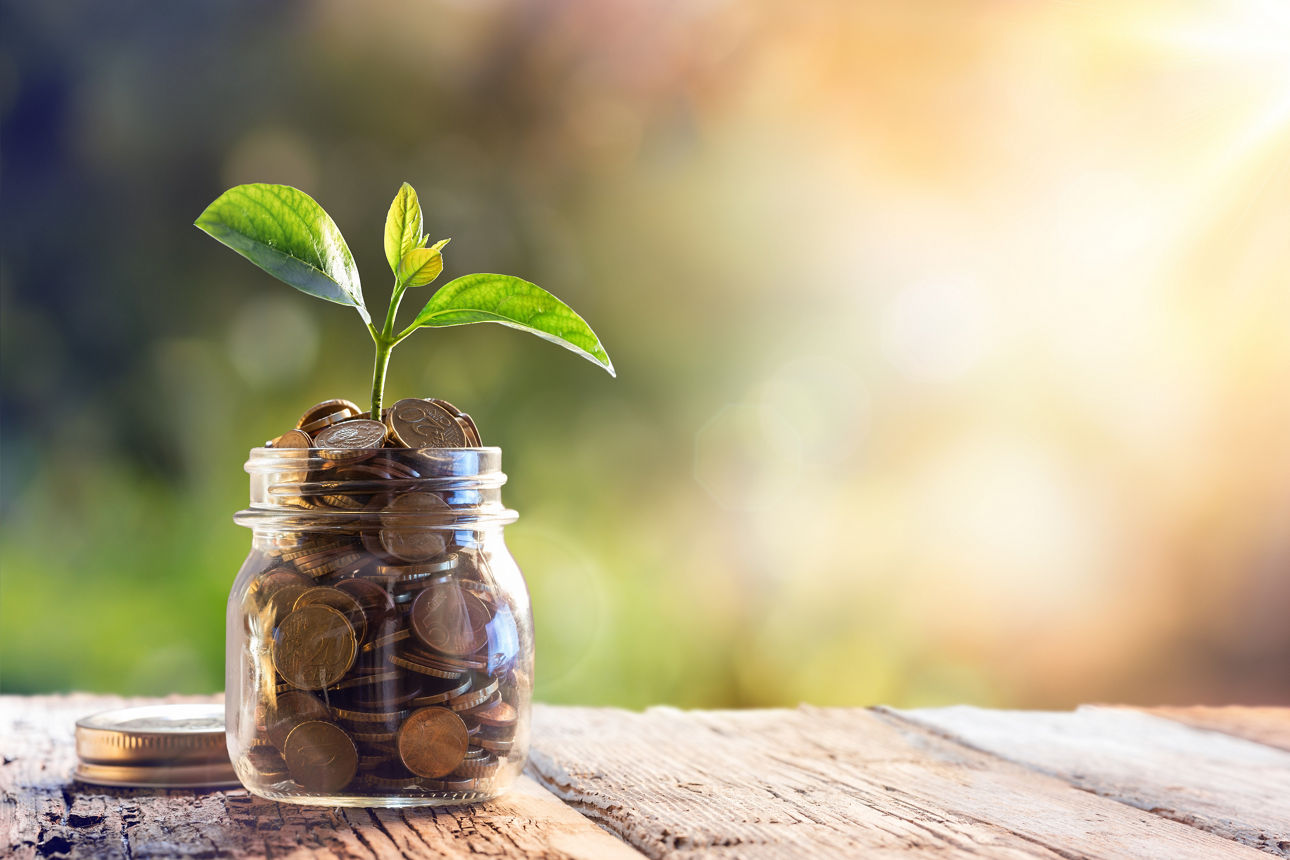 Ein Glas voll Münzen, aus denen eine kleine grüne Pflanze rauswächst.