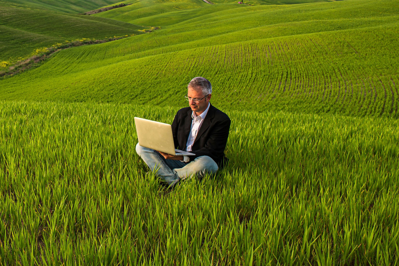 Ein Mann sitzt mit einem Laptop im hohen Gras